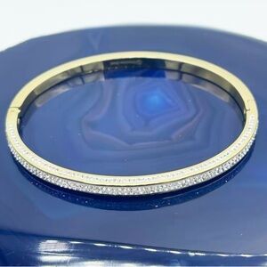 Elegant Stainless Steel Pave Hinged Bangle